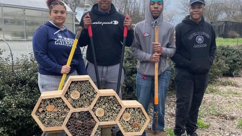 Students with bee hotels